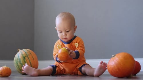 Infant Plays with Pumpkins on the Floor