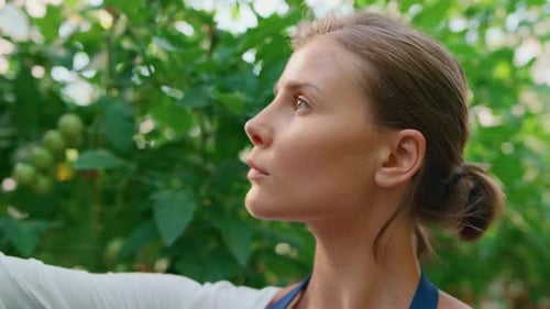 Closeup Woman Agronomist Analysing Vegetables Growth Level in Summer Garden