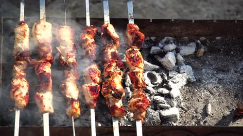 Meat Skewers Cooking on a Grill