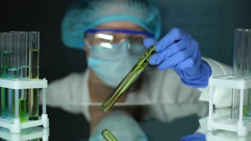 Biologist Analyzing Green Plant Sample, Organic Extraction Method, Botany