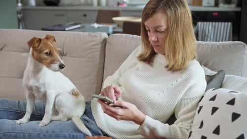 Woman Relaxes on Couch with Dog and Phone