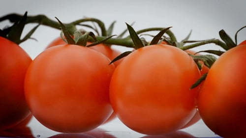 Cherry Tomatoes in Rotating Loop