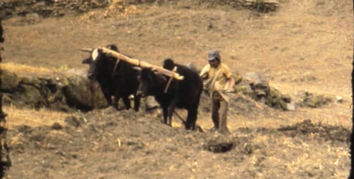 Super 8 Vintage Movie 02