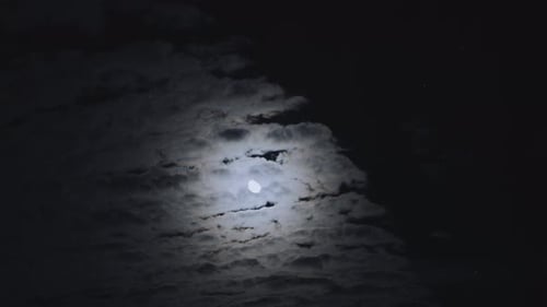Moonlight