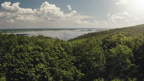 Fluss und grüner Wald Wilde Naturlandschaft