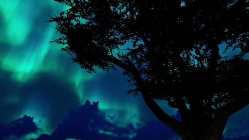 Northern Lights