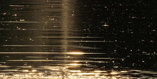 Sunlight Sparkles on the Surface of Water