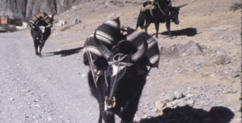 Super 8 Vintage Movie 04