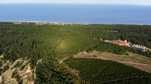 LUFTAUFNAHME: Panoramaaufnahme des grünen Pinienwaldes nahe der Ostseeküste in Nida