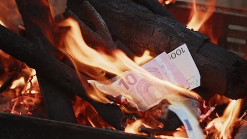 Money to Burn: Euro Banknotes Burning in Fire