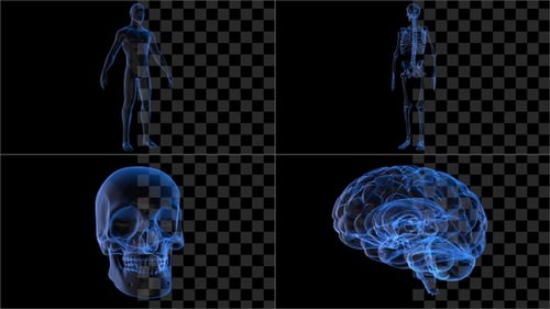 Menschliches Hologramm-Paket