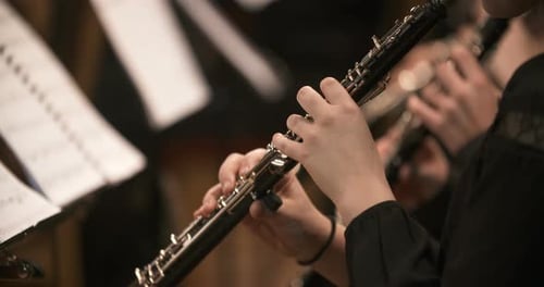 Musicians Playing Woodwind and String Instruments