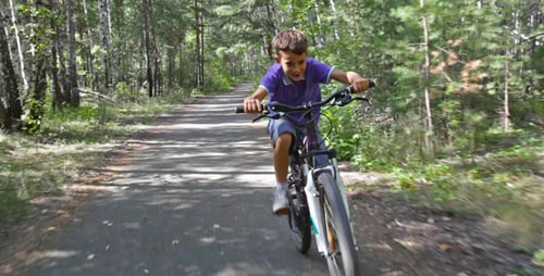 Boy Riding Bicycle Through a Forest on a Sunny Day