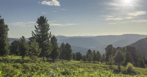 Mountain Meadow Timelapse