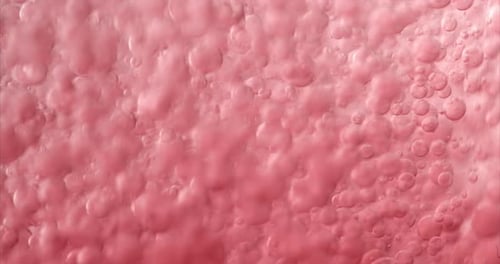 Purple Bubbles in Water. Close-up Video of Bubbles in Liquid.