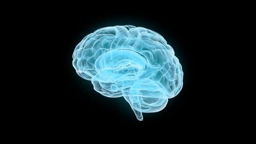 Rotating 3D Holographic Brain Scan Animation