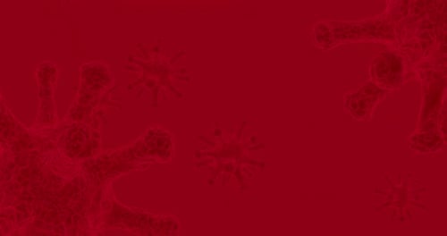 Red Background 3d Simulation of Corona Virus