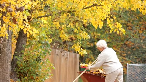 Senior woman raking fall leaves
