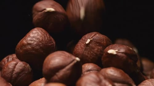 Brown Hazelnuts Pile Close Up View