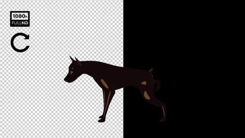 2D-Cartoon-Dobermann-Paket