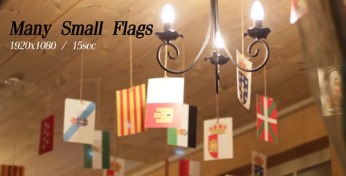 Different Flags Hang From Strings Indoors