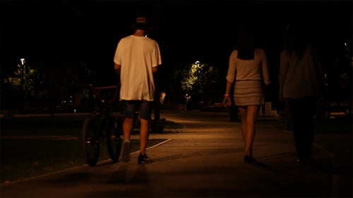 Night Walk in the Park