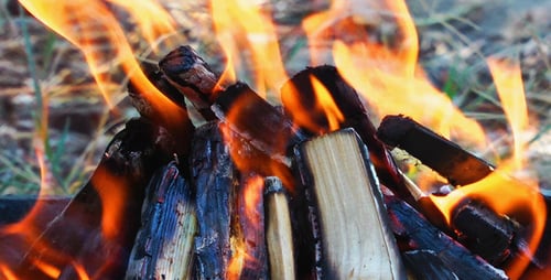 Holz & Feuer