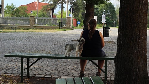 Little Dog and Owner Sitting