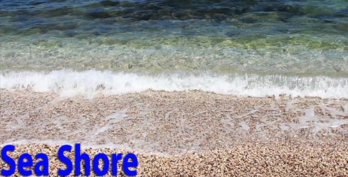 Sea Shore