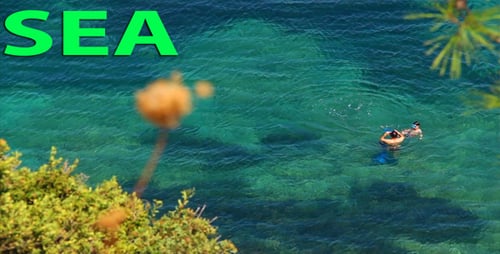 Sea And Swimming