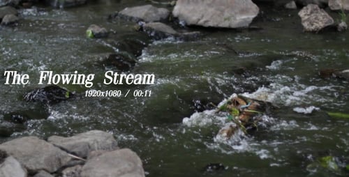 The Flowing Stream
