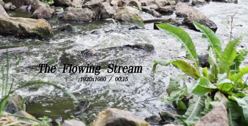 The Flowing Stream 4