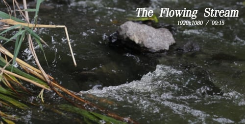 The Flowing Stream 6