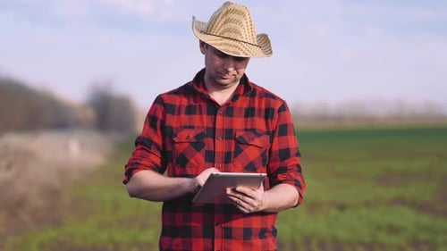 Man Uses Tablet in Rural Green Field