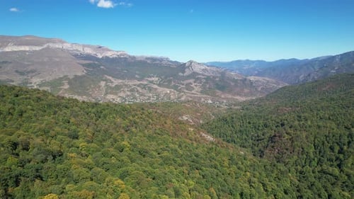 Felsige Berge und dichter Wald