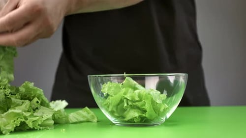 Fresh Green Lettuce Being Added to Bowl