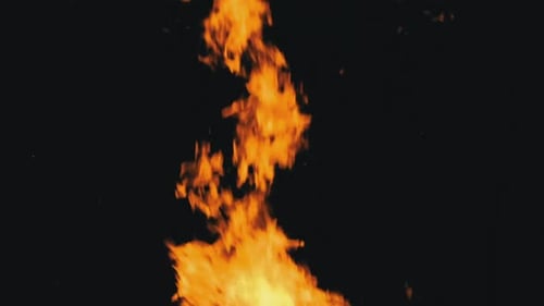 Vibrant Flames Dancing Against a Dark Backdrop