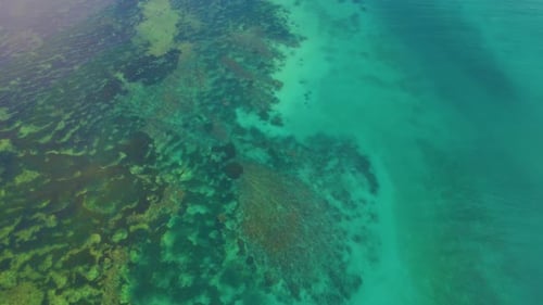 Sea water