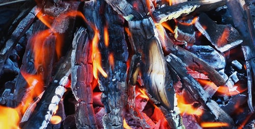 Burning Fire on Charred Wood Close Up