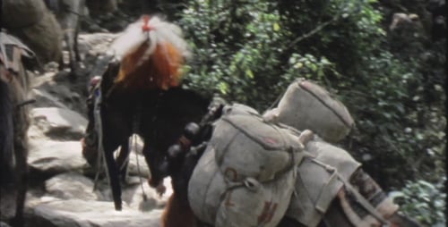 Super 8 Vintage Movie 08