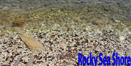 Rocky Sea Shore