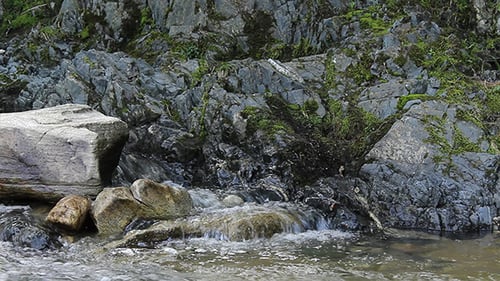 Gentle Stream Cascading Through Rocks in Nature