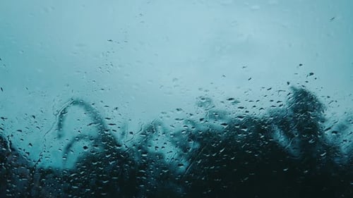 Rain