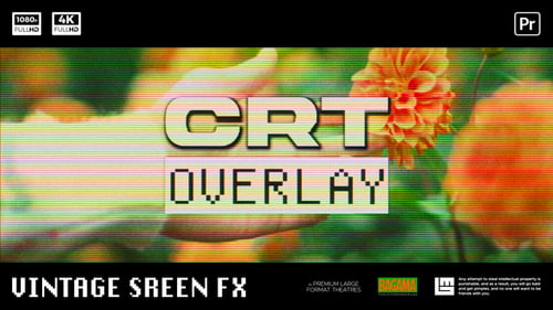 Analog Screen Overlay