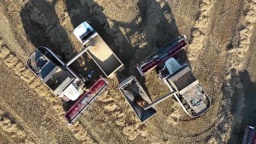 El panorama aéreo de dos cosechadoras combinadas llena de granos la carrocería del camión