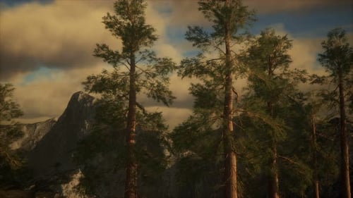 Cliff with Trees and Light of the Sun