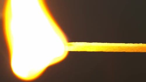 Burning Match with Purple Tip in Extreme Close Up