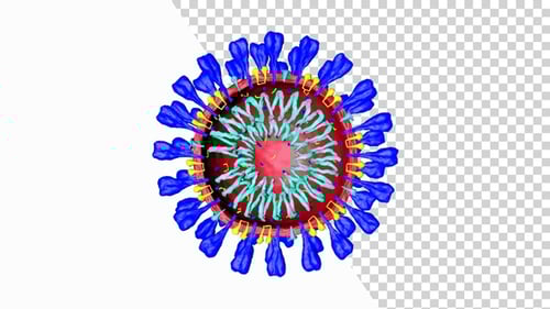 3D Rotating Virus Cell Animation for Medical and Scientific Projects