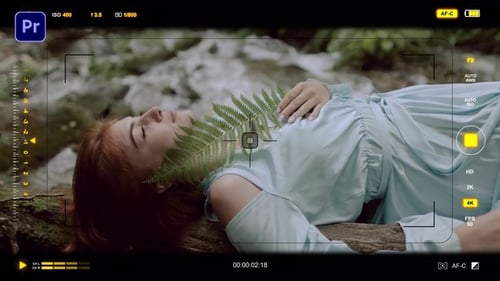 Camera Viewfinder HUD