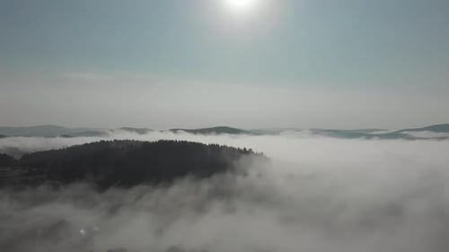 Fog